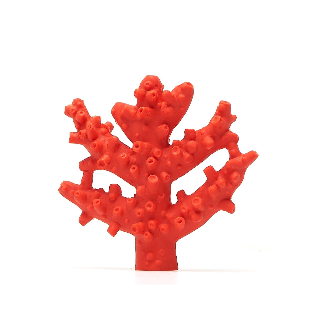 Bijtspeelgoed | Koraal