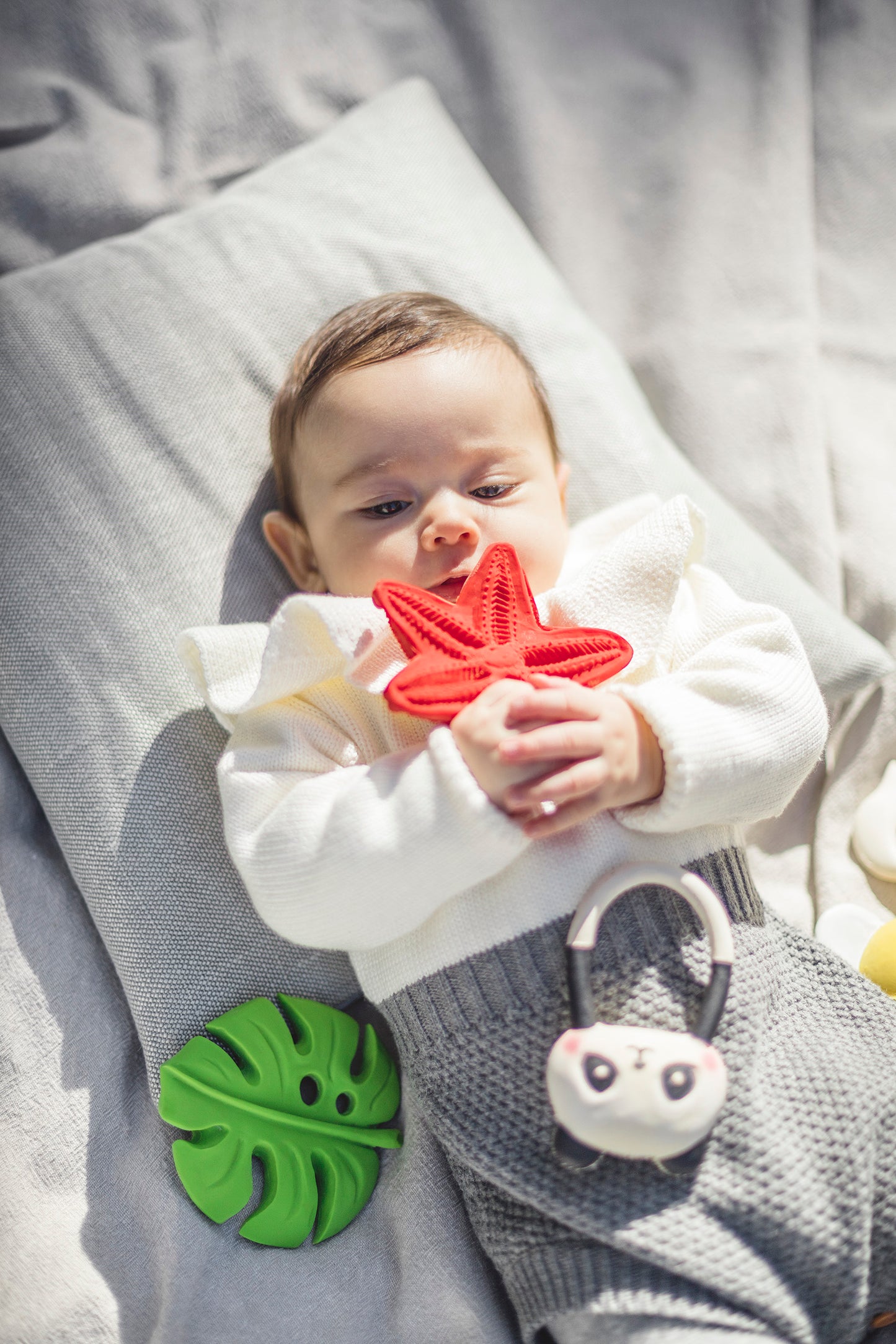 Bijtspeelgoed | zeester