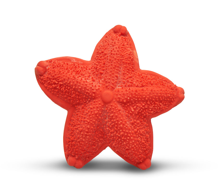 Bijtspeelgoed | zeester