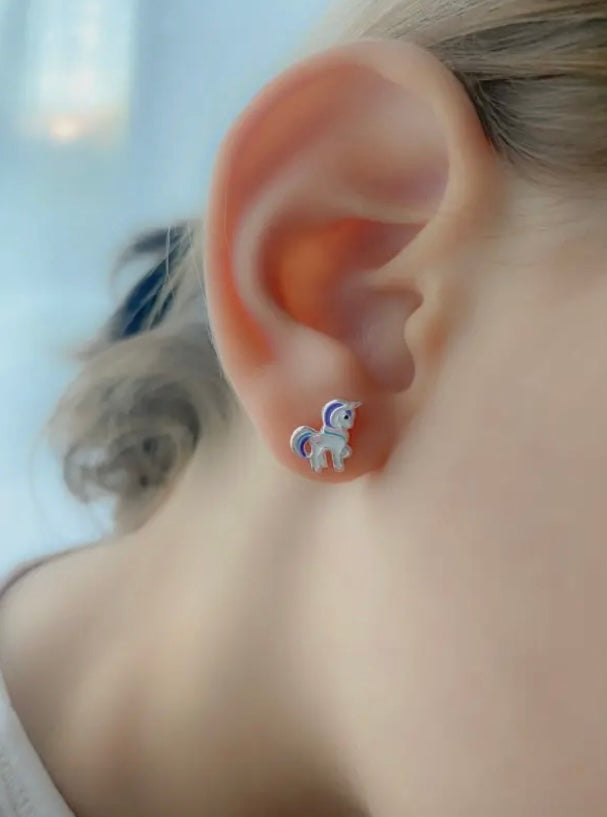 Oorbellen | Pony